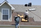 Diggers Restskylights-2.jpg; ?>